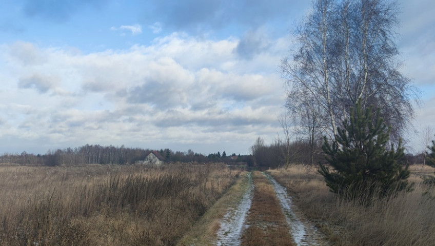 Działka Sprzedaż Borzęcin Mały